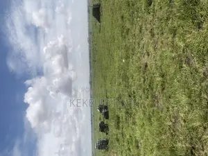 Prampram Lands: Discover Plots at Akwaaba Park — Selling Out Fast.