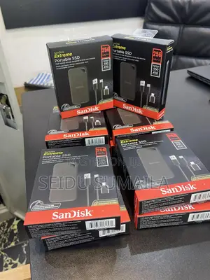 External Sandisk 256 SSD