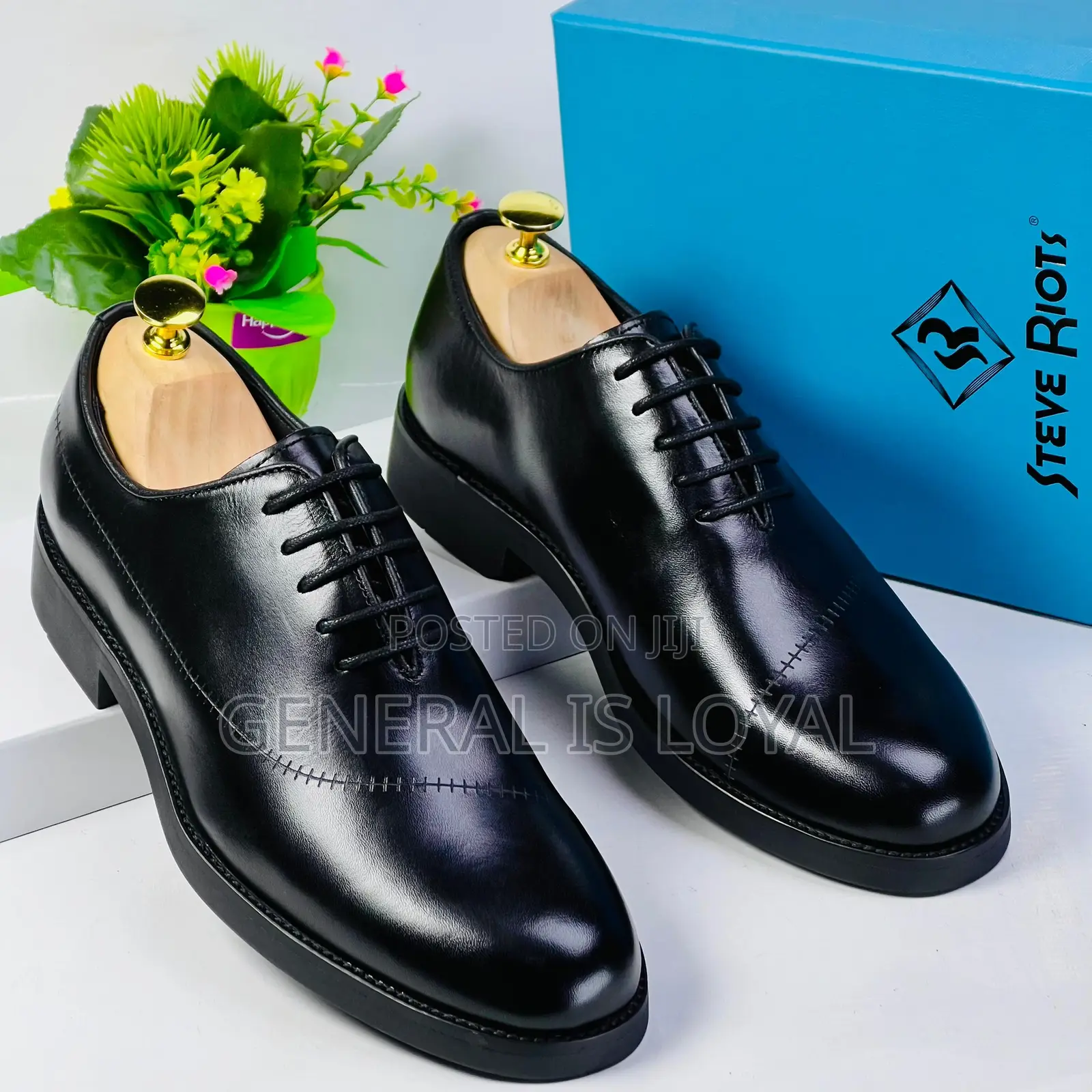 Steve Riot Executive Lace Black Shoe