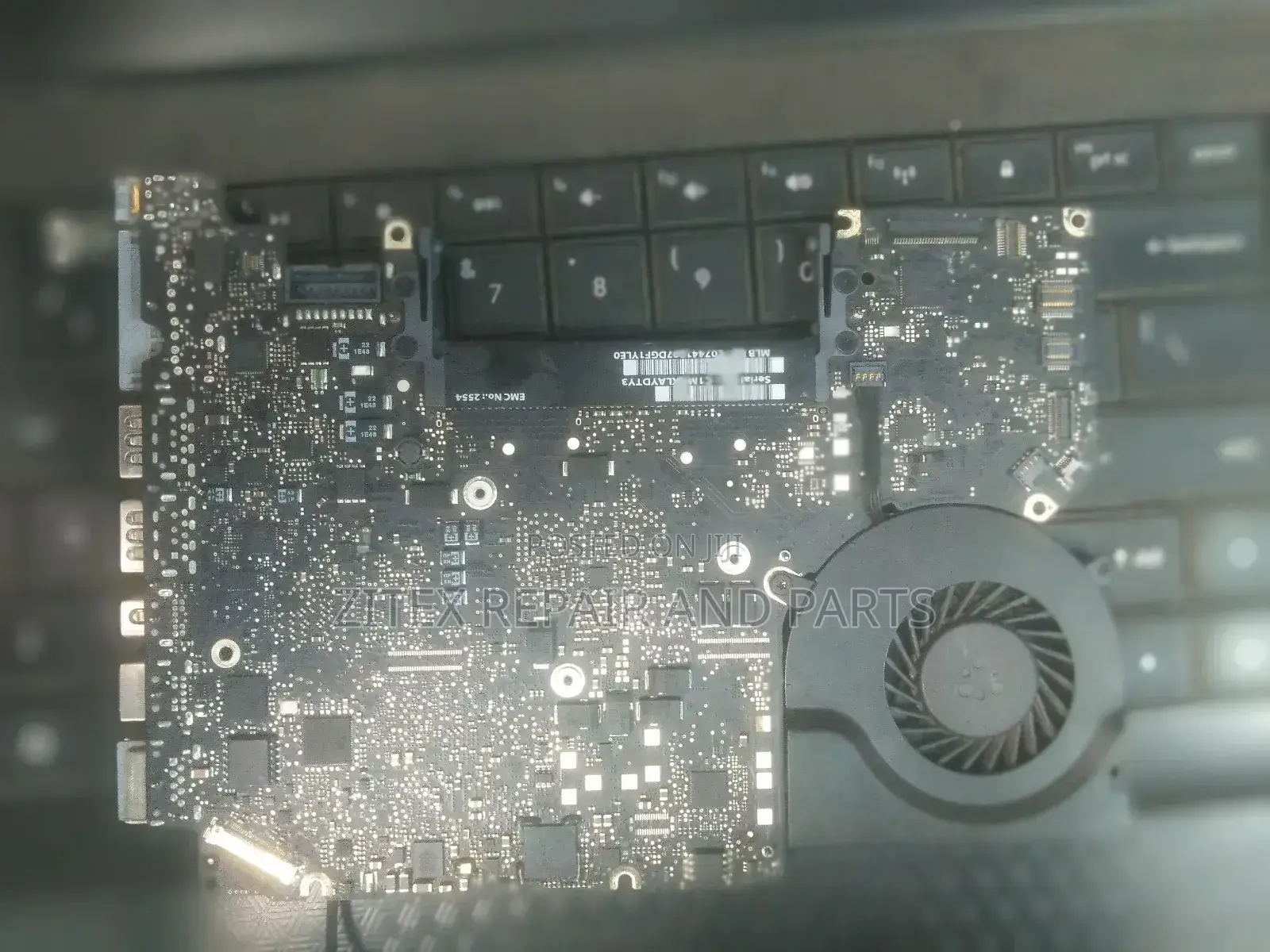 Zitex Repair