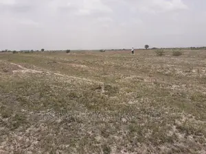 Vast Plots at Tsopoli