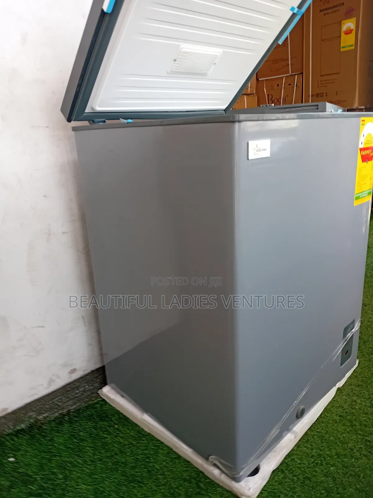 Gsaf-150l Chest Freezer Your Sweet Partner for Everyday Food Storage