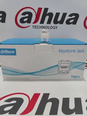 Dahua Keystone Jack