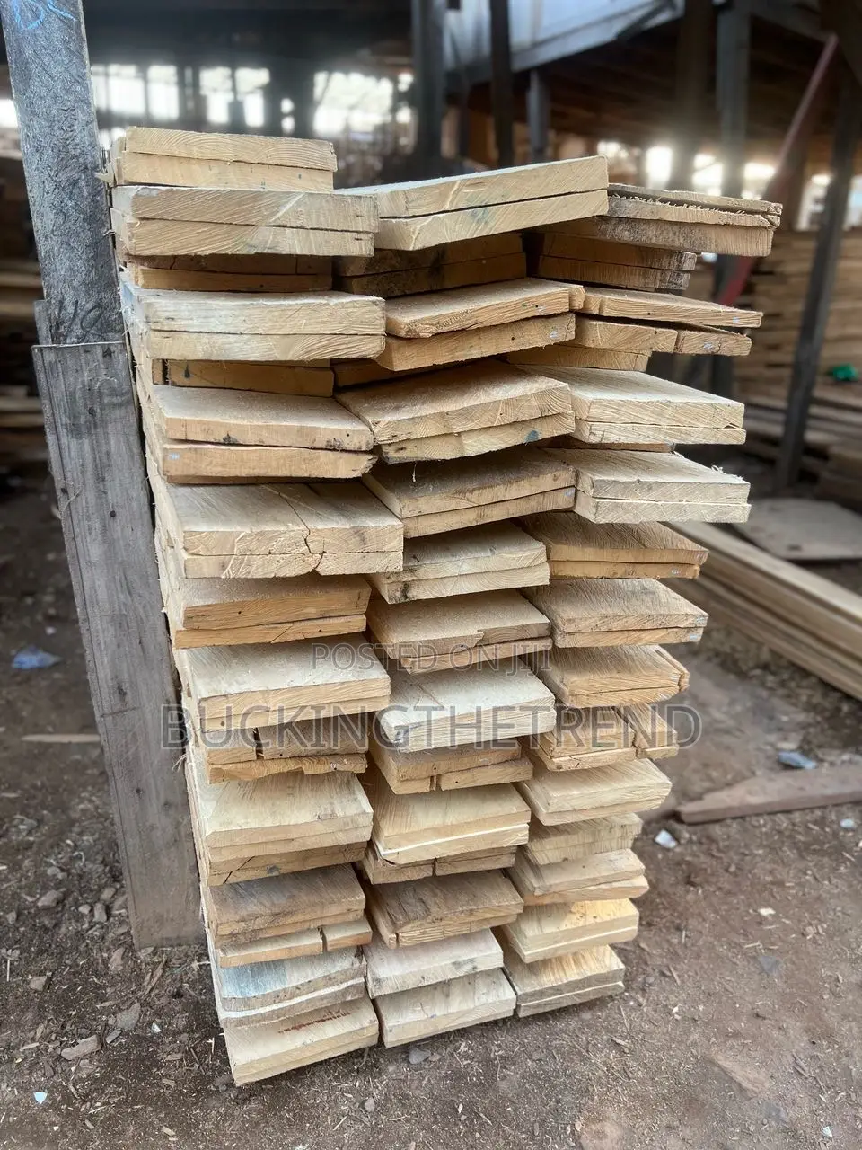 All Types of Woods
