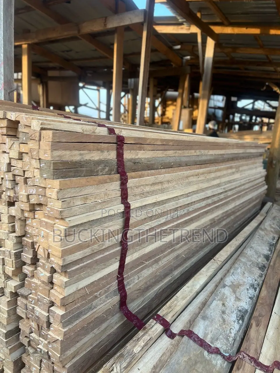 All Types of Woods