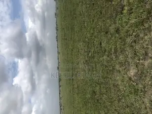 Prampram Lands• Very Affordable In Akwaaba Park ( Waterlogged Free)