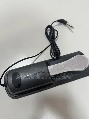 Sustain Pedal