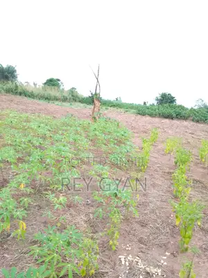 Half Plot Available at Agona Swedru Oteprow Around Swesbu SHS