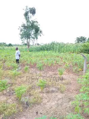 Half Plot Available at Agona Swedru Oteprow Around Swesbu SHS