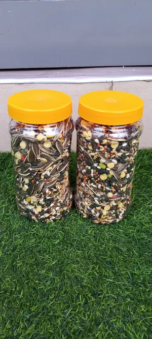 Feed for Birds