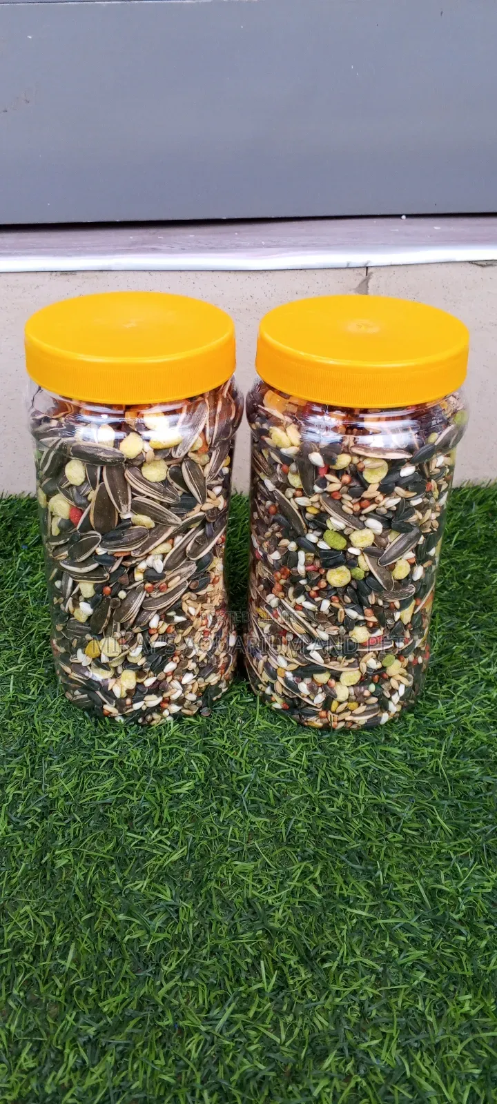 Feed for Birds