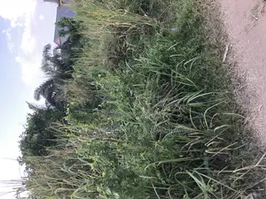 Plot of Land at Atonsu Feyiase Is on Sales