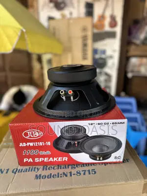 Jld-pw12101-10 Pa Speaker(12 Inches Naked Speaker /Pair)