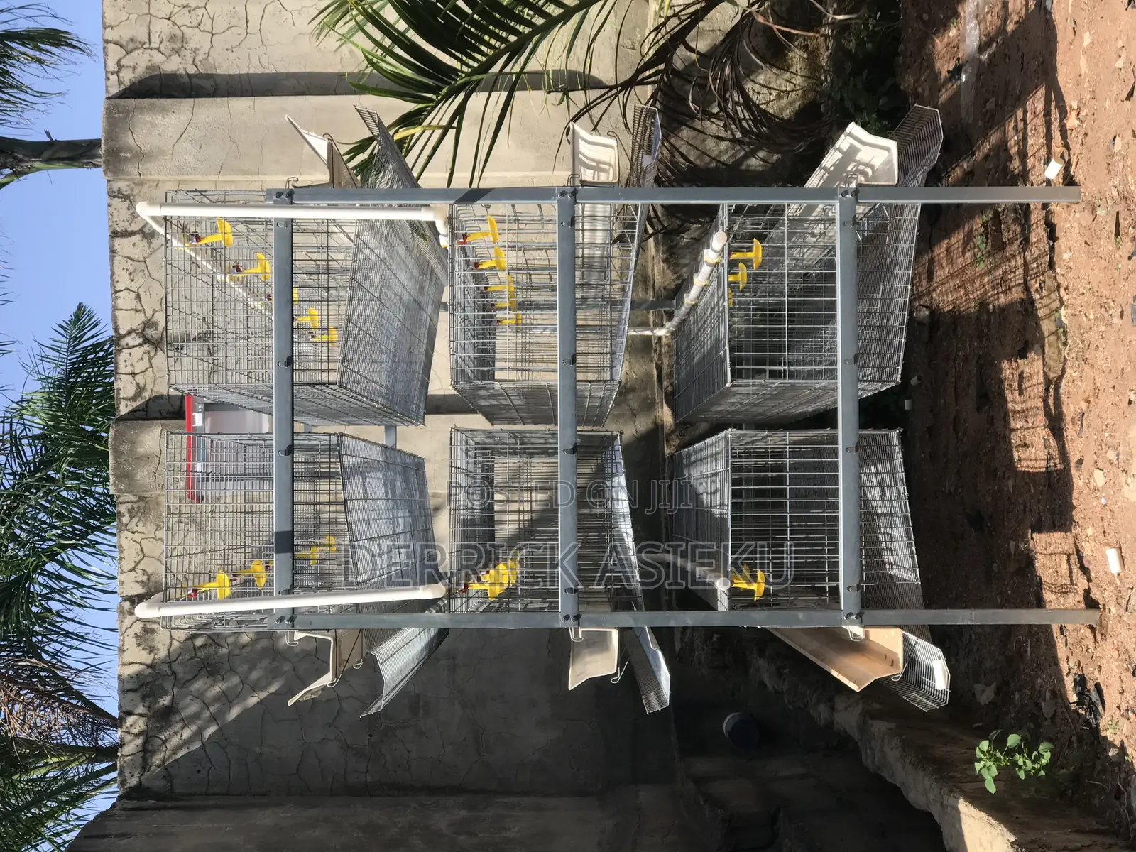 Battery Cages System