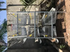 Battery Cages System