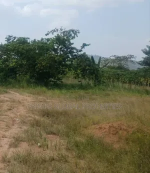 10 Acres Of Land For Sale In Nsawam. Pet