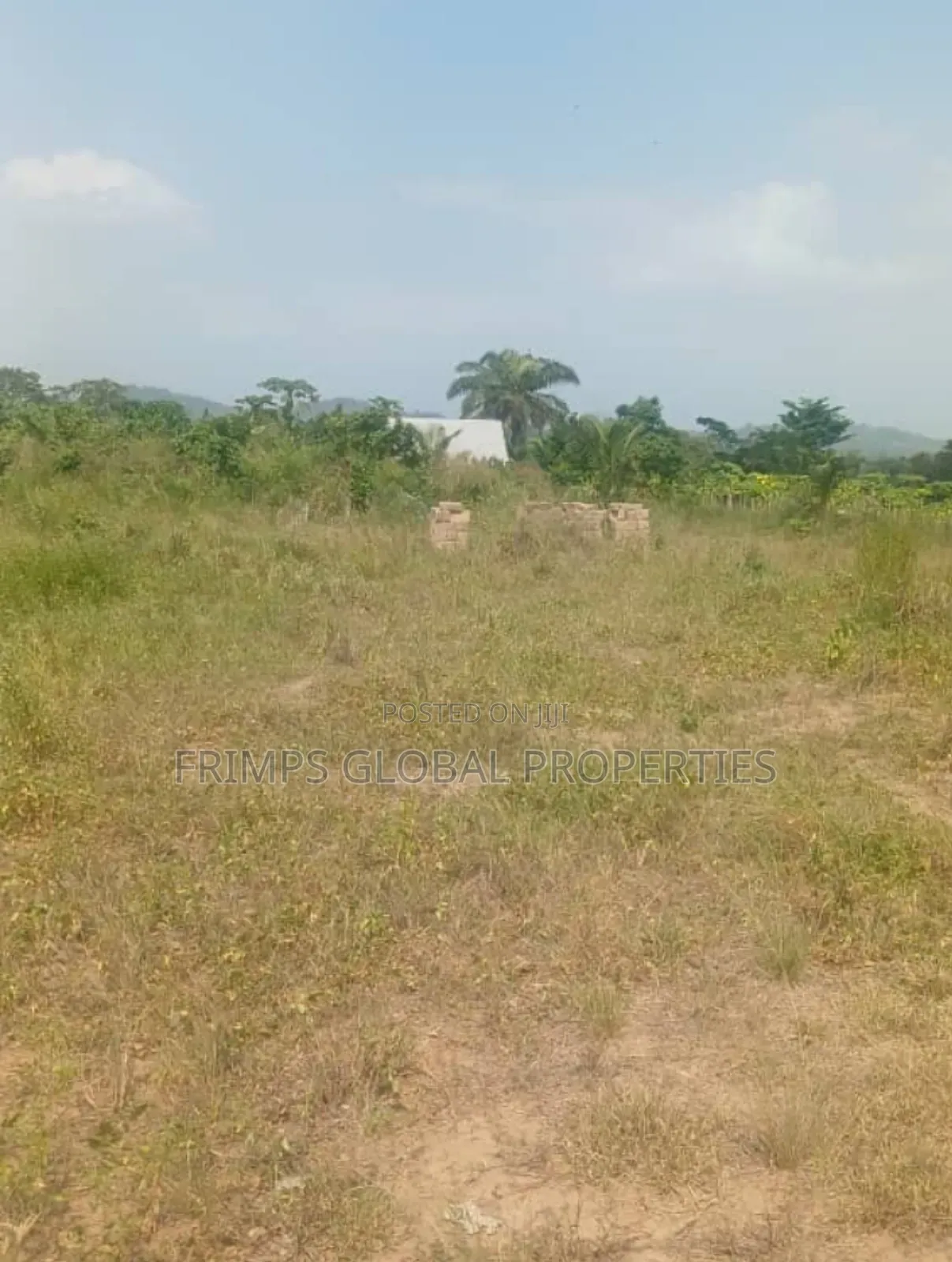 10 Acres Of Land For Sale In Nsawam. Pet