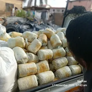 Oyster Mushroom Fruiting Bags