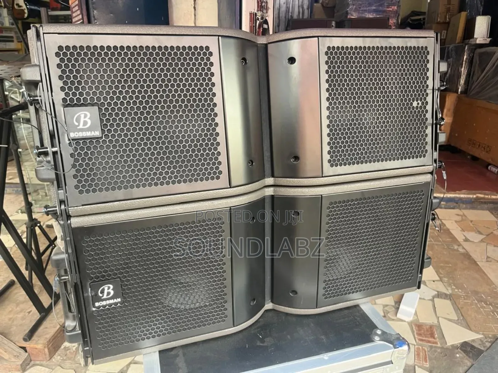 Bossman Kara 210 10inches Line Array Speakers