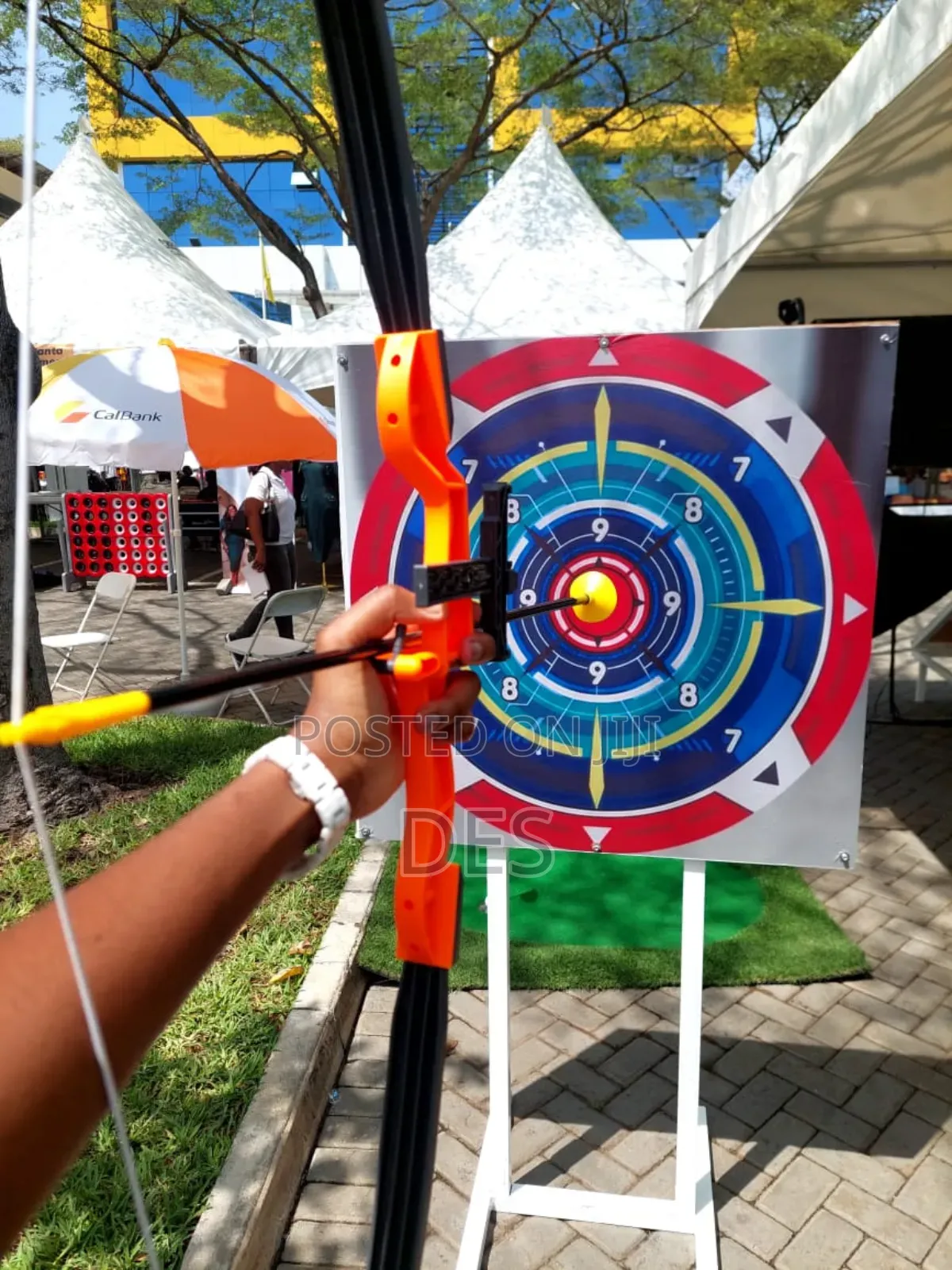 Archery and Target Practice