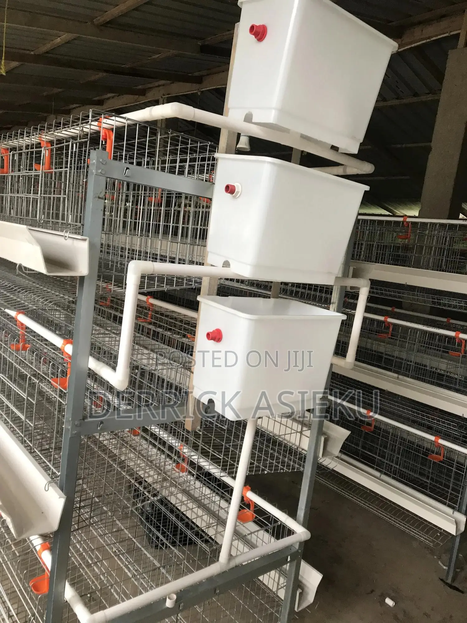 Battery Cages System