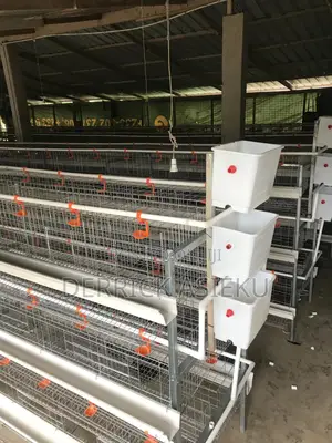 Battery Cages System