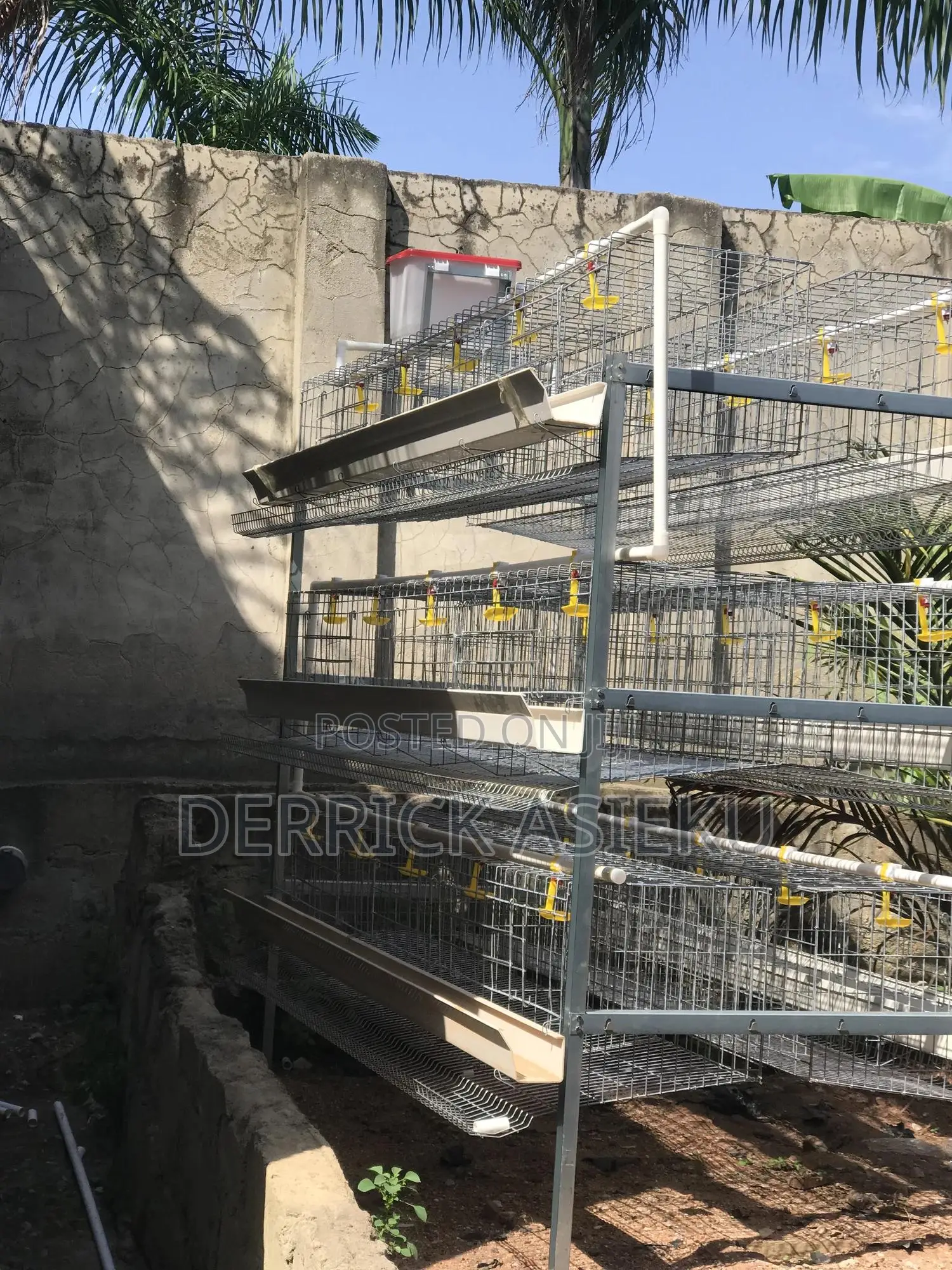 Battery Cages System