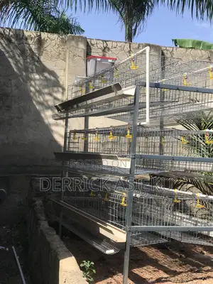 Battery Cages System