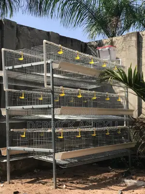 Battery Cages System