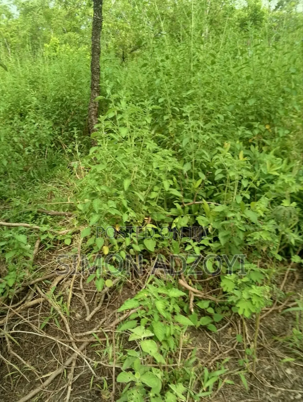 30,000 + Acres Of Farm Land Close To Water