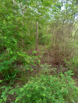 30,000 + Acres Of Farm Land Close To Water