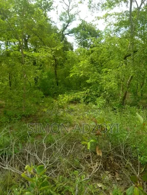 30,000 + Acres Of Farm Land Close To Water
