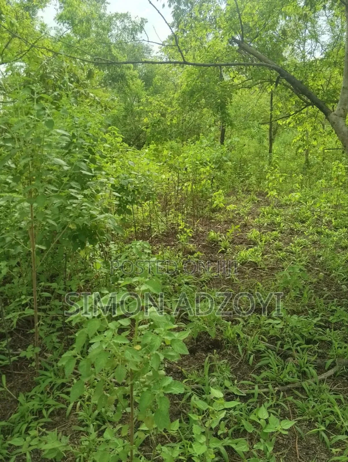 30,000 + Acres Of Farm Land Close To Water