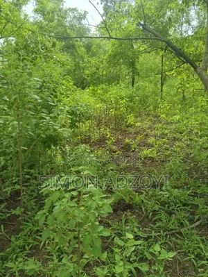 30,000 + Acres Of Farm Land Close To Water