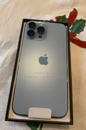 New Apple iPhone 14 Pro Max 256 GB Silver
