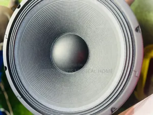 GLS 15 Inches Naked Speakers