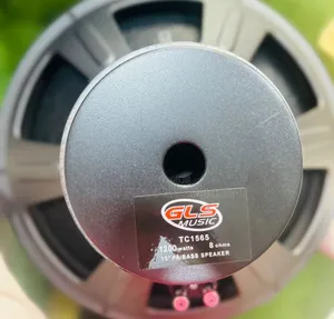 GLS 15 Inches Naked Speakers