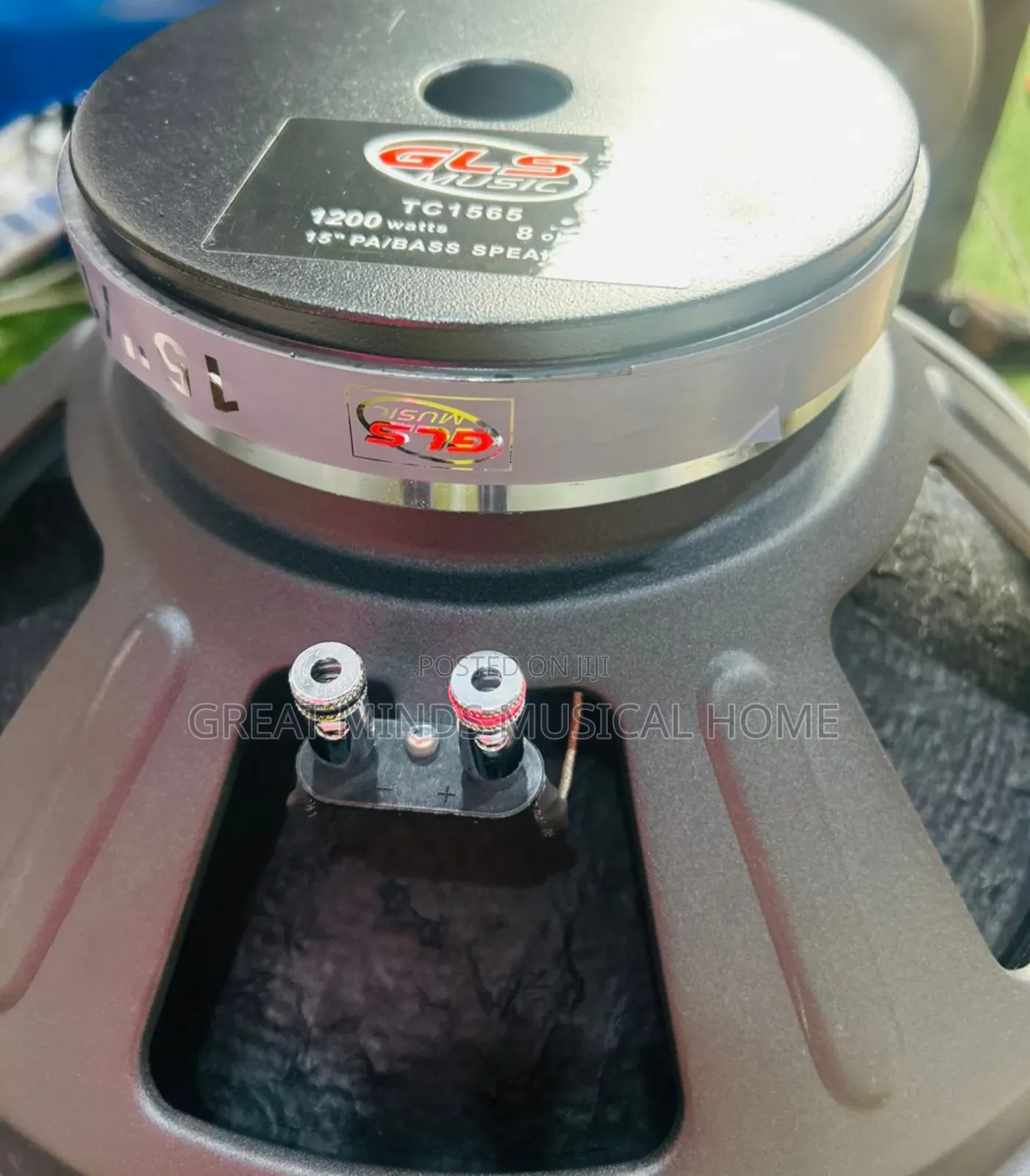 GLS 15 Inches Naked Speakers