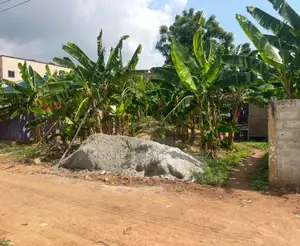 One Plot Just 2mins Walk From Highway for Sale