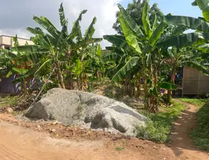 One Plot Just 2mins Walk From Highway for Sale
