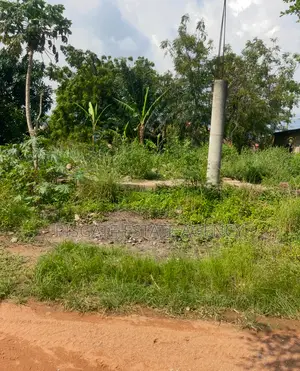 Half Plot for Sale at Ablekuma Pokuase Highway Just 2mins Walk.