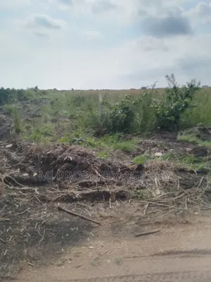 13 Acres Roadside Industrial Plot Prampram