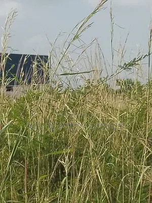 13 Acres Roadside Industrial Plot Prampram