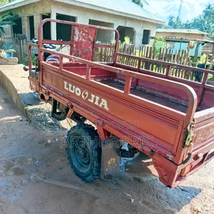 Luojia Clean Tricycle 2020 Red