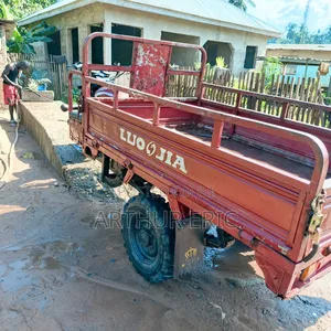 Luojia Clean Tricycle 2020 Red