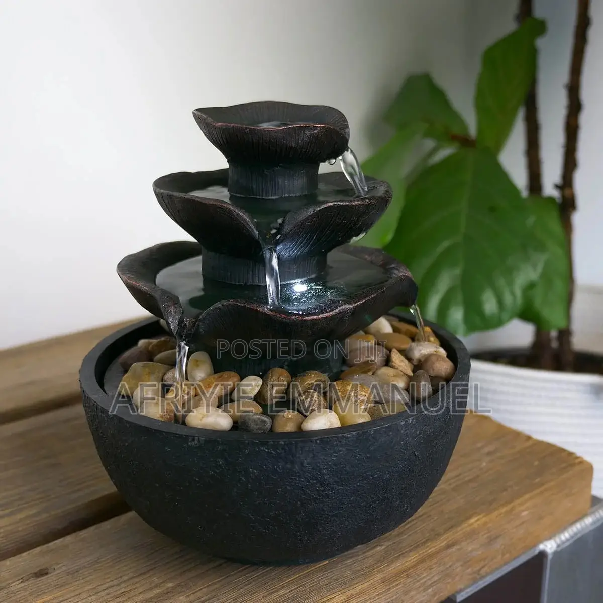 Water Fountain and Gardens