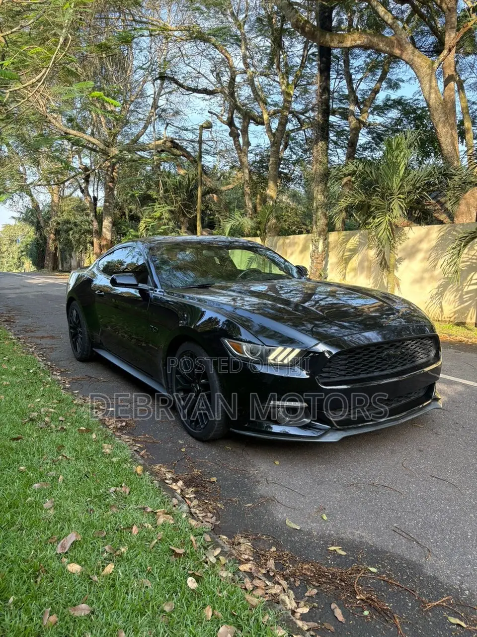 Ford Mustang EcoBoost Premium Fastback 2017 Black
