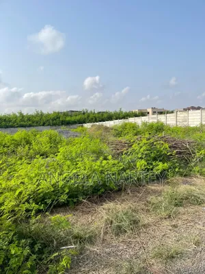 One Plot in a Gated Community at Community 24