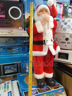 16inches Santa Claus