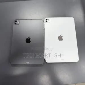 Apple iPad Pro 11 (2024) 256 GB Gray